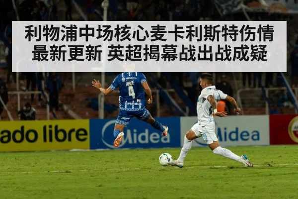 利物浦中场核心麦卡利斯特伤情最新更新 英超揭幕战出战成疑